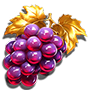 Grape Grape